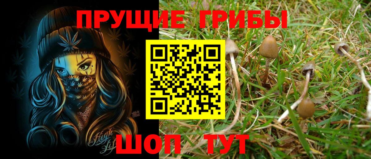 Псилоцибиновые грибы мицелий Ковров