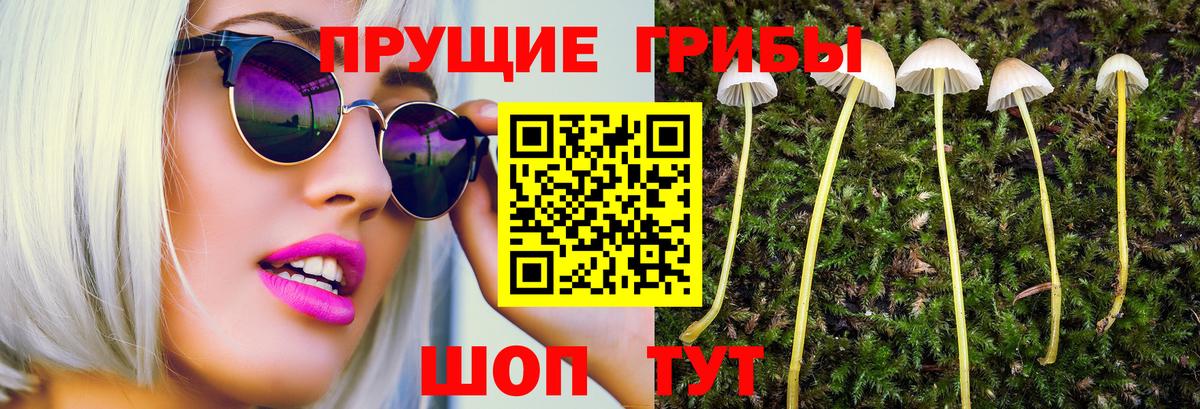 Ковров  Псилоцибиновые грибы Cubensis  Вход с VPN 